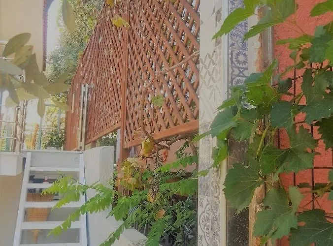 Apartment Spitaki *