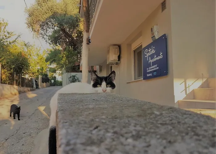 Spitaki Apartment