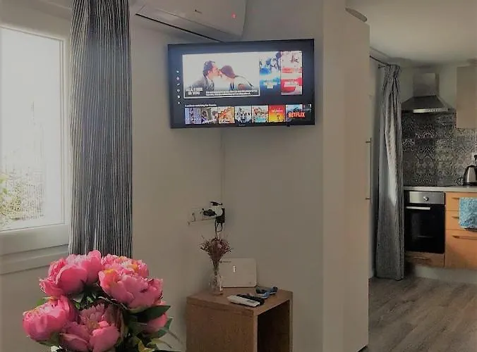 Apartament Spitaki *